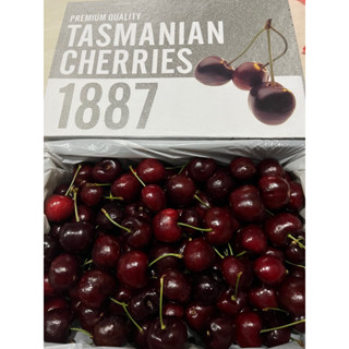 Jual Fresh Cherry Tazmanian Gold Jumbo Size Mm Import Manis Enak