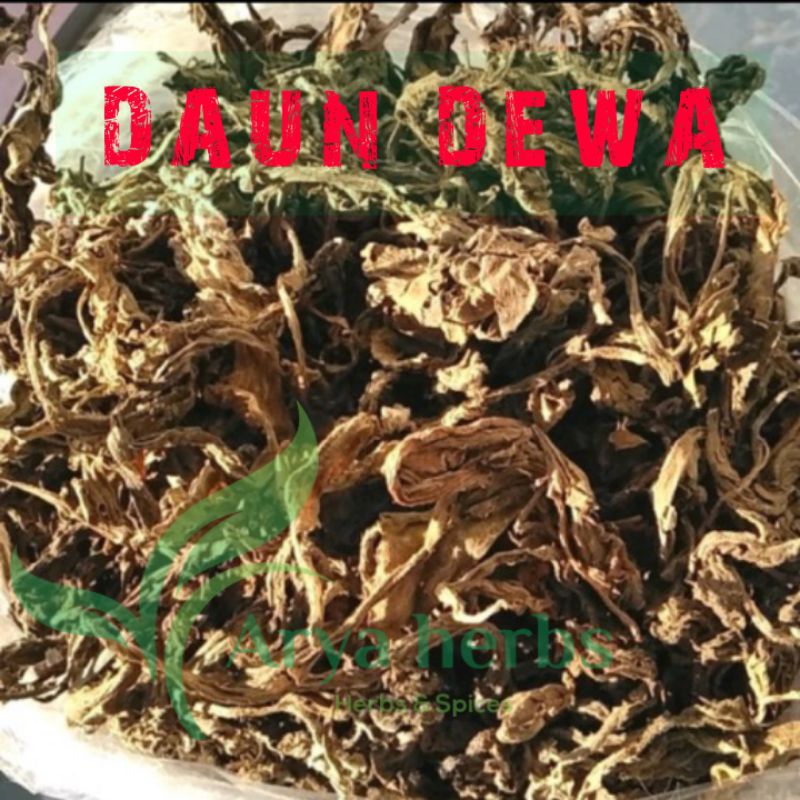 Jual DAUN DEWA KERING 250 Grm Herbal Daun Dewa Daun Samsit