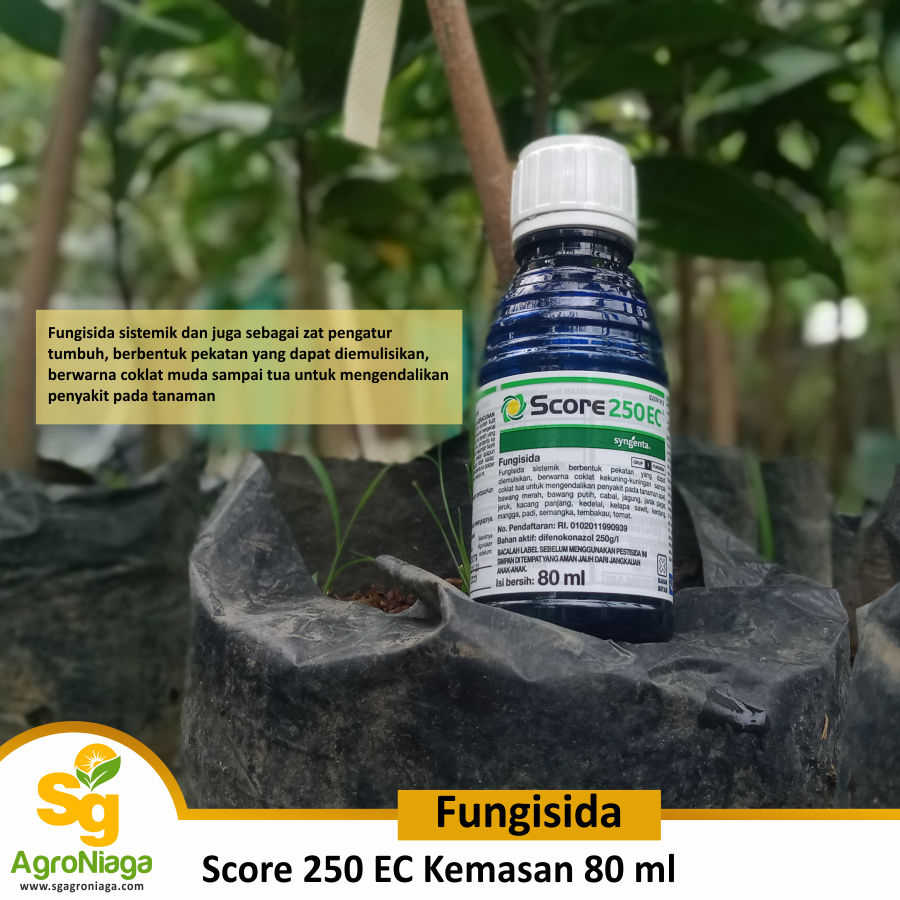 Jual Fungisida Cair Score Ec Kemasan Ml Shopee Indonesia