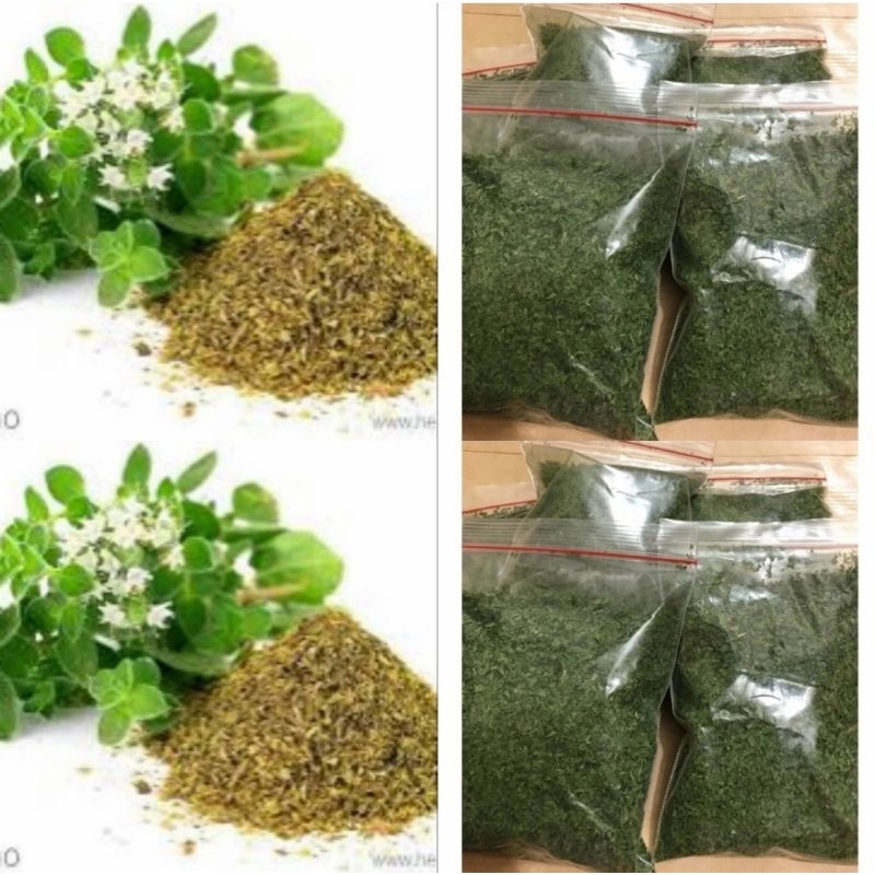 Jual Oregano Gr Parsley Peterseli Daun Parsley Kering Gr Daun