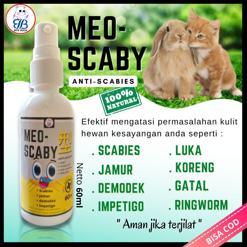 Jual Meo Scaby Obat Jamur Scabies Luka Borok Penyakit Kulit Kucing