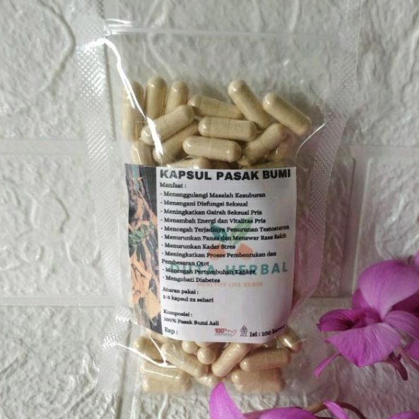 Jual Kapsul Pasak Bumi Herbal Isi 100 Asli Tanpa Campuran Shopee