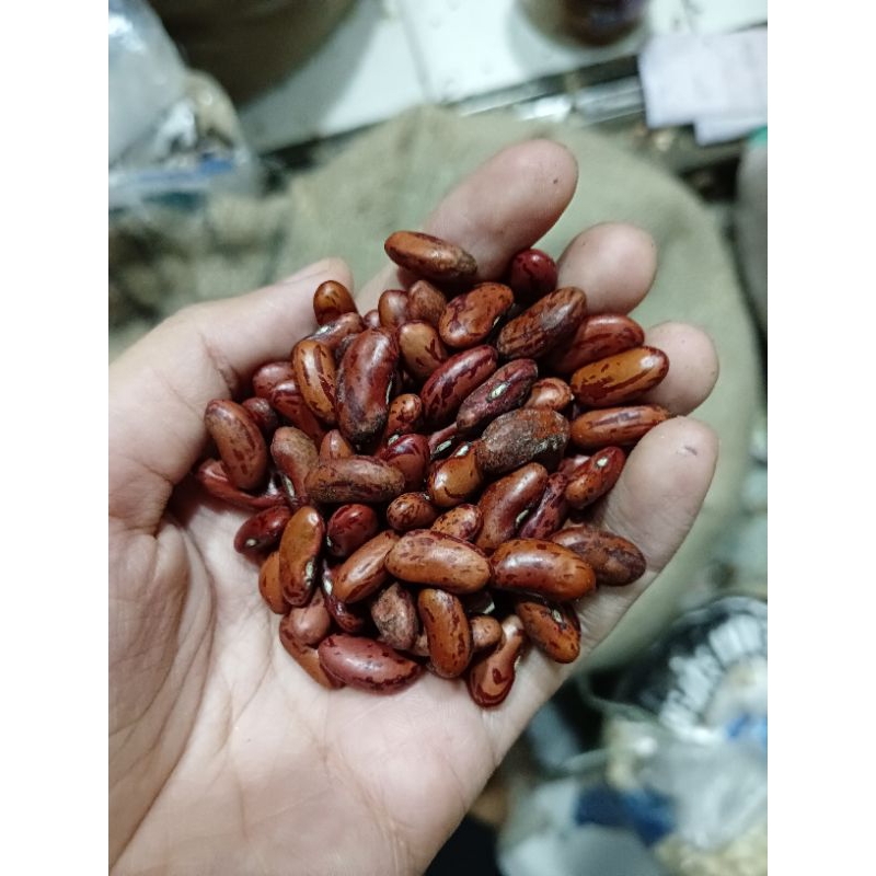 Jual Kacang Buncis Kemasan 1 Kg Shopee Indonesia