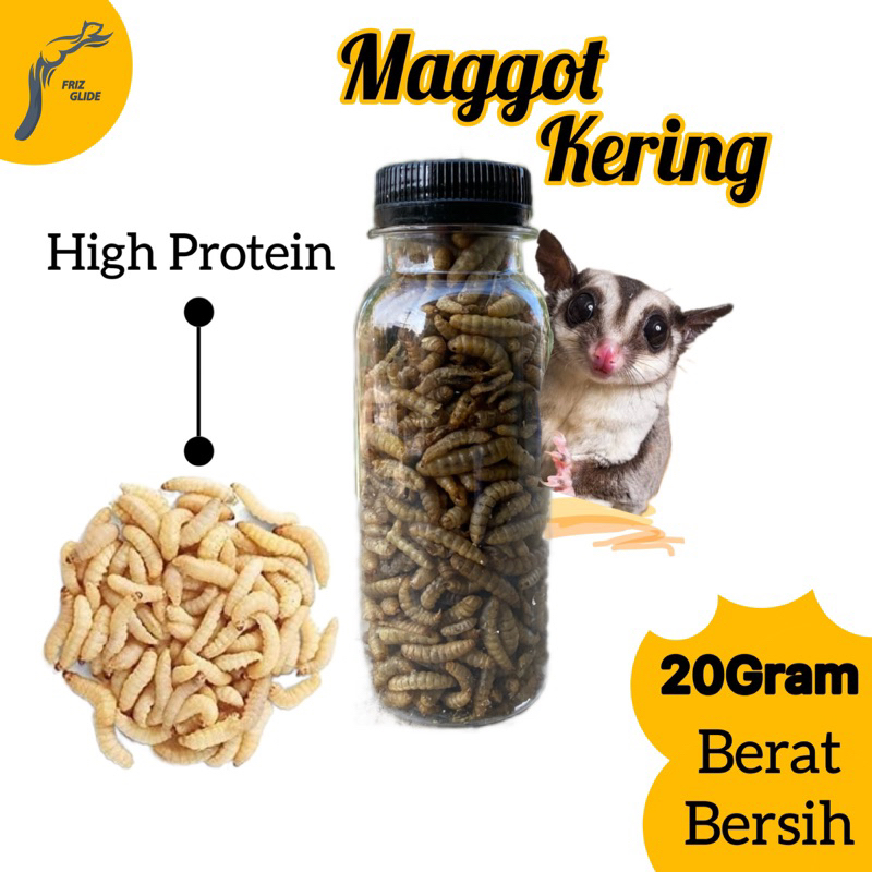 Jual Maggot Kering Sugar Glider Ikan Hamster Landak Maggot Channa Ikan