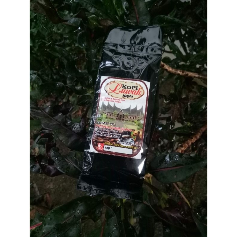 Jual Kopi Luwak 100 Bubuk 100 Gram Arabika Rafflesia Luwak Coffee