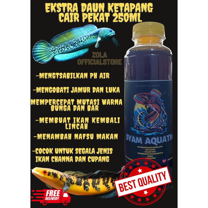 Jual Ekstrak Daun Ketapang Cair Pekat 250Ml Untuk Ikan Channa Dan