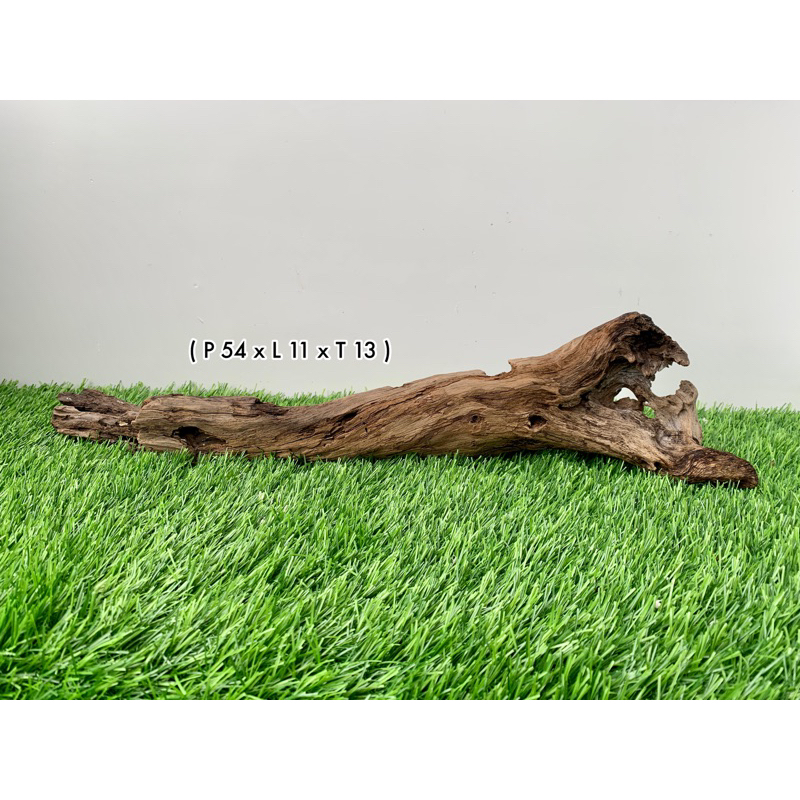 Jual Kayu Santigi Laut Aquascape Shopee Indonesia