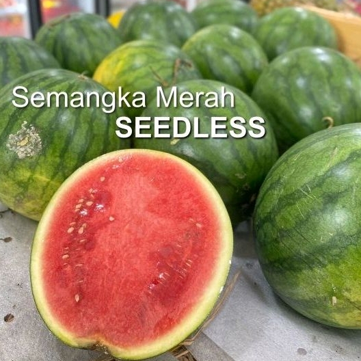 Jual Semangka Seedless Tanpa Biji Shopee Indonesia