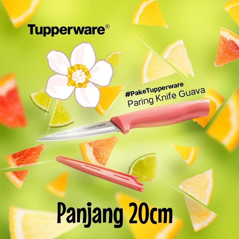 Jual Pisau Tupperware Paring Knife Tupperware Shopee Indonesia