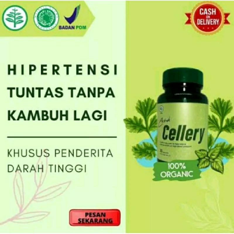 Jual E Cellery Asli Herbal Obat Penurun Hipertensi Obat Darah Tinggi