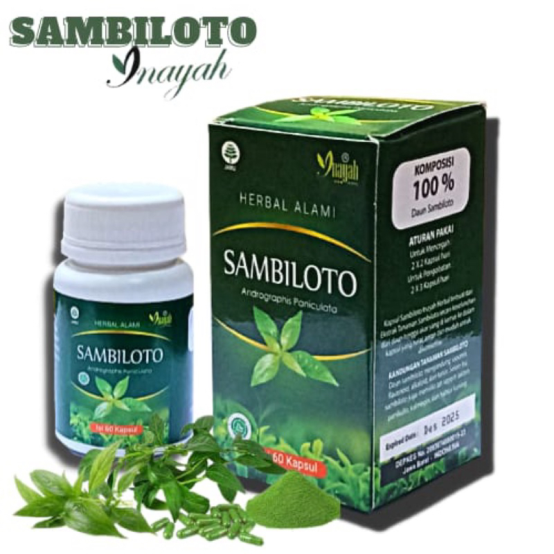 Jual Kapsul Sambiloto Herbal Asli Shopee Indonesia