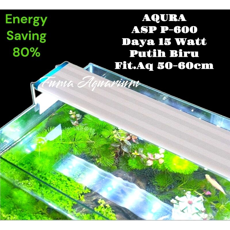 Jual Lampu Led Aquarium Aqura ASP P600 P 600 15wt 60cm Putih Biru Lampu