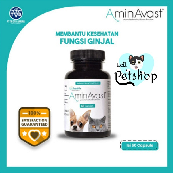 Jual Aminavast Obat Suplemen Fungsi Sakit Gangguan Ginjal Renal