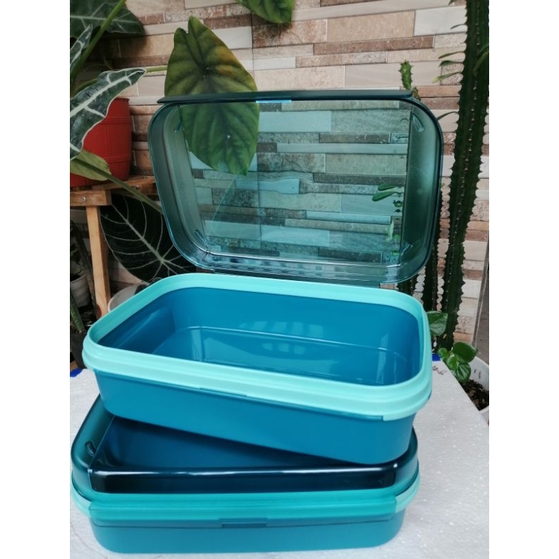 Jual Ezy Keeper Rectaguler Signatur Rectaguler Tupperware 1