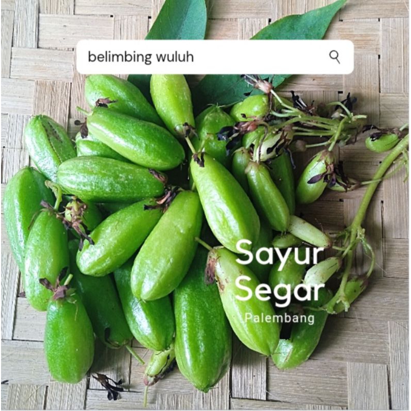 Jual Belimbing Wuluh 100 Gr Sayur Segar Palembang Shopee Indonesia