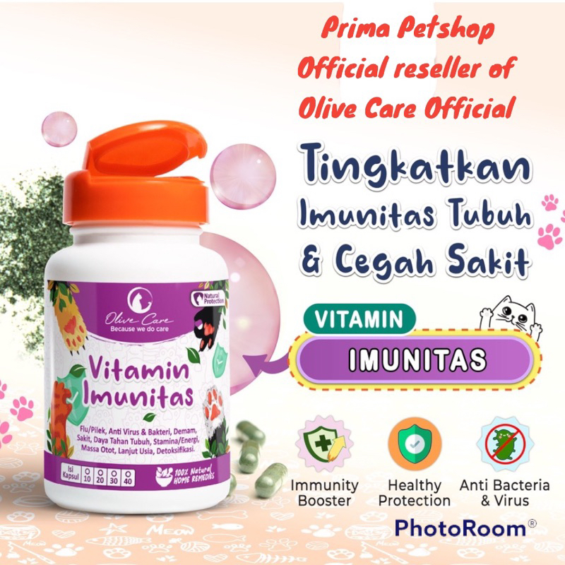 Jual Olive Care Kapsul Vitamin Imunitas Kucing Perkapsul Shopee