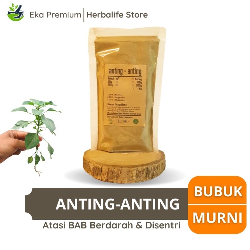 Jual Tanaman Anting Anting Bubuk Daun Batang Bunga Akar Kering Murni