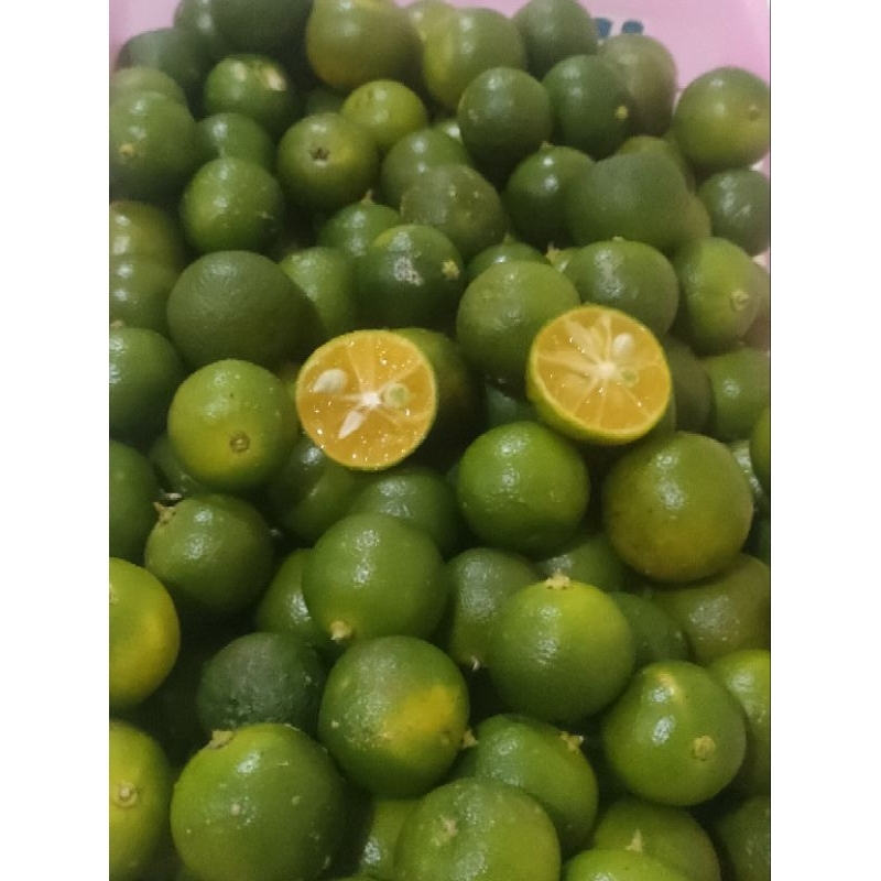 Jual Jeruk Kasturi Jeruk Kunci Lemon Cui Fresh 1 KG Shopee Indonesia