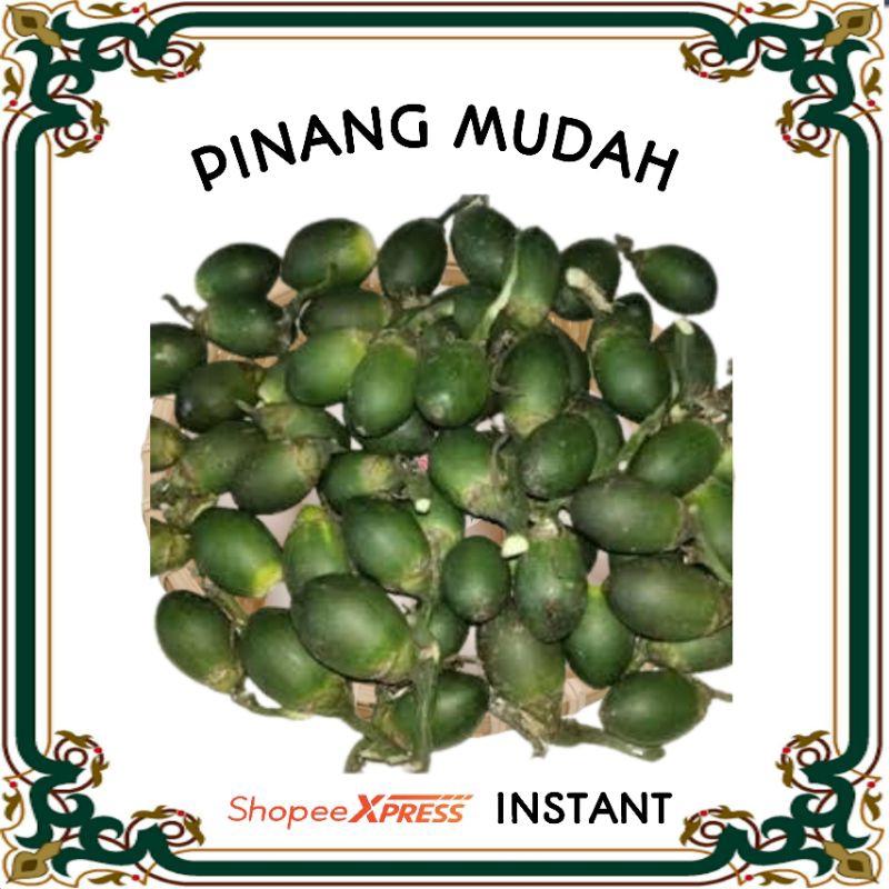 Jual Buah Pinang Hijau Segar Jambe Pcs Shopee Indonesia