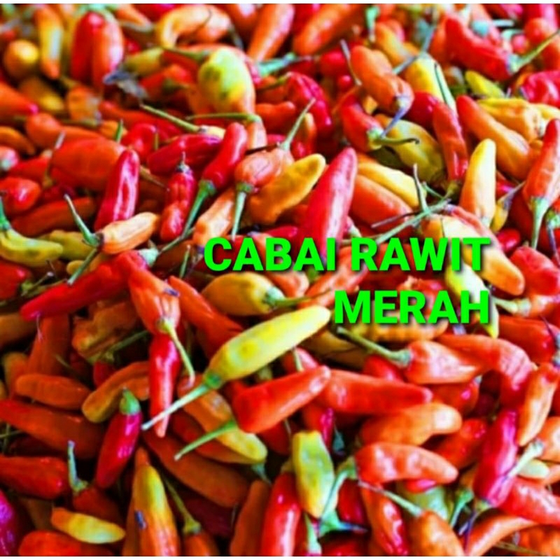 Jual CABAI RAWIT MERAH KHUSUS PARA SULTAN 1 KG PREMIUM QUALITY