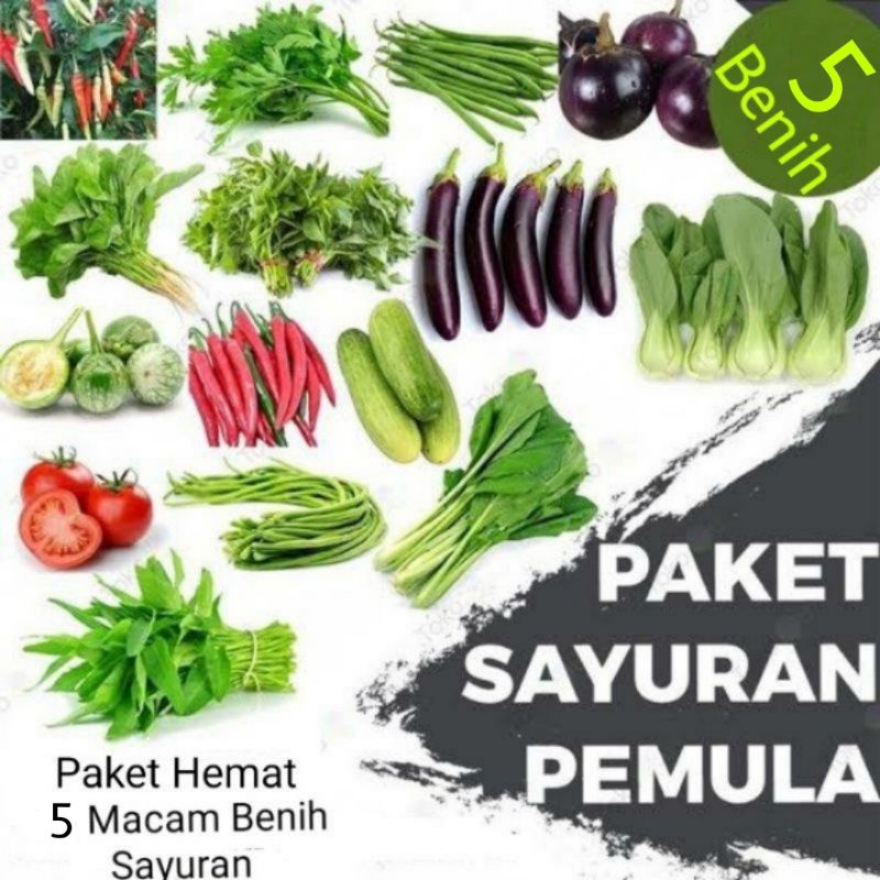 Jual Paket Hemat 5 Jenis Benih Sayuran Shopee Indonesia