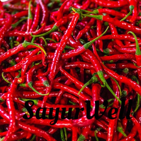 Jual Cabe Kriting Merah 250Gr 500Gr 1Kg Shopee Indonesia