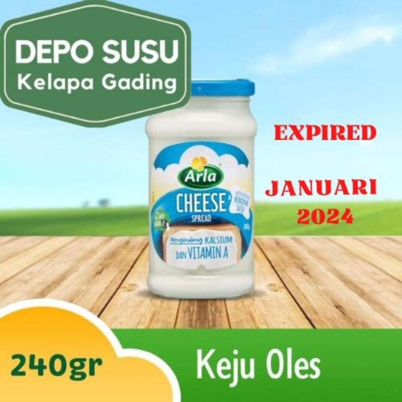 Jual Keju Arla Cheesy Spread 240 Gr Cheese Cream Oles Krim Selai 240g