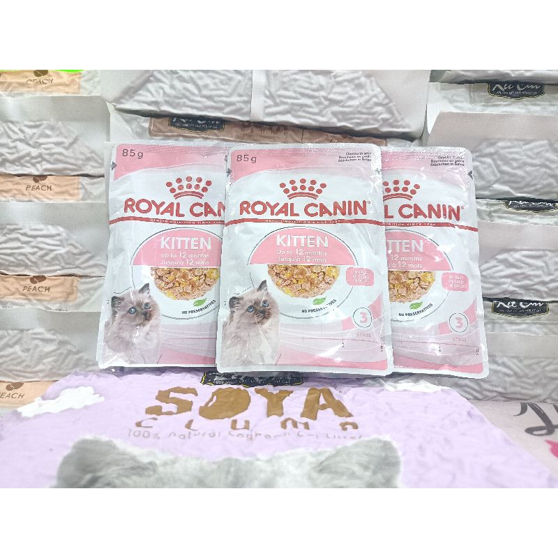 Jual Royal Canin Pouch Kitten In Jelly G Rc Sachet Kitten Wetfood