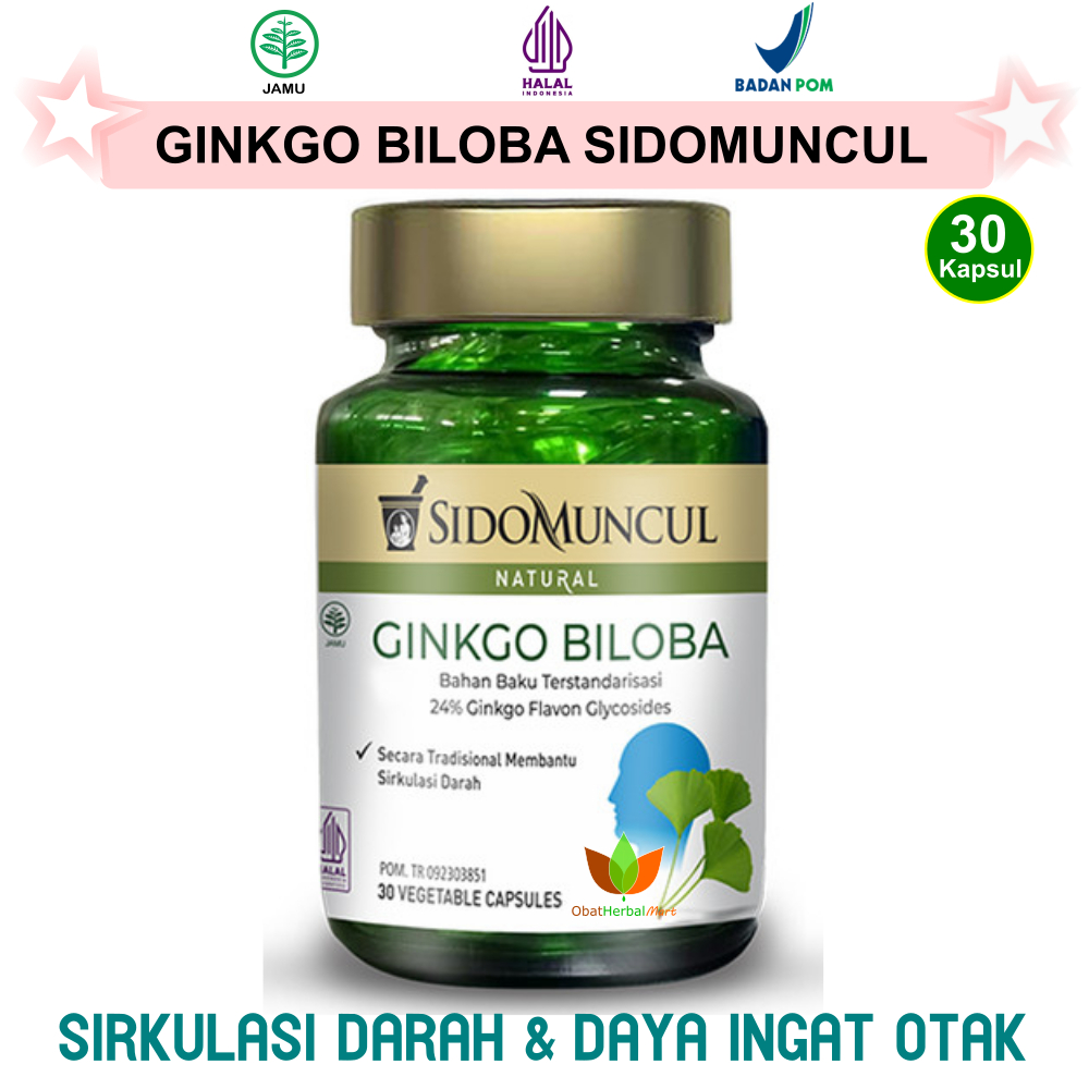 Jual 30 KAPSUL GINKGO BILOBA SIDOMUNCUL JAMU OBAT PELUPA LUPA INGATAN