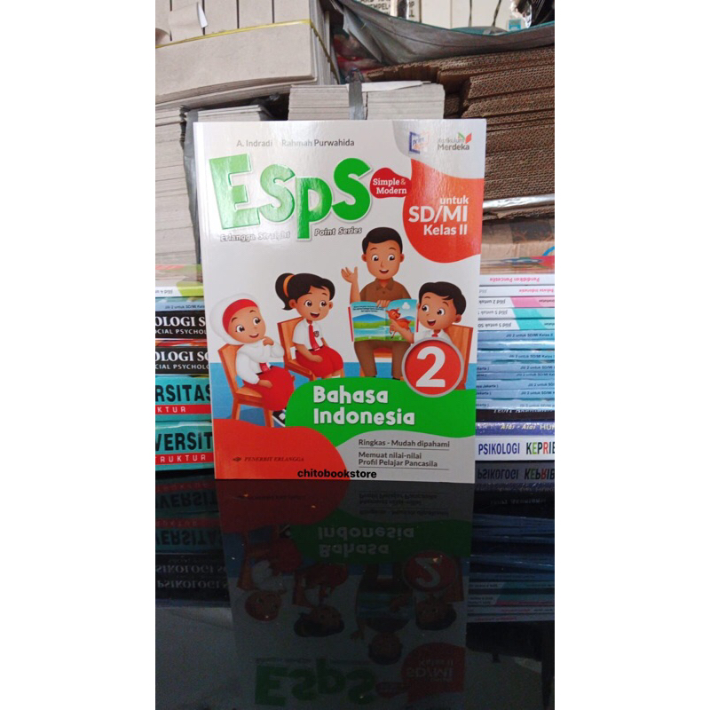 Jual Buku Esps Erlangga Straight Point Series Bahasa Indonesia Untuk