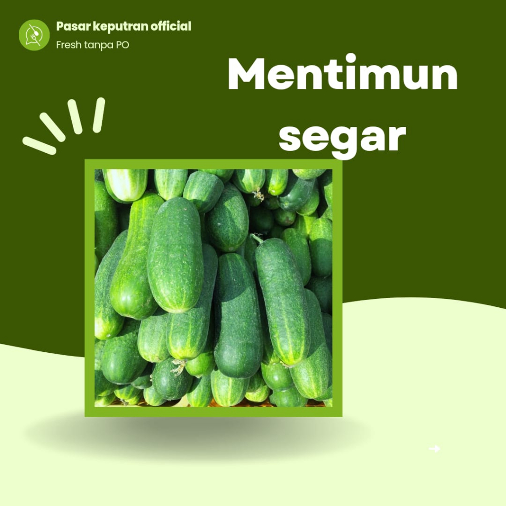 Jual Timun 500gr Sayur Timun Segar Timun Shopee Indonesia