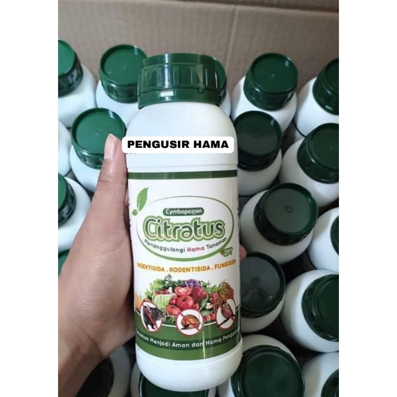 Jual Citratus Pengusir Hama Tikus Shopee Indonesia