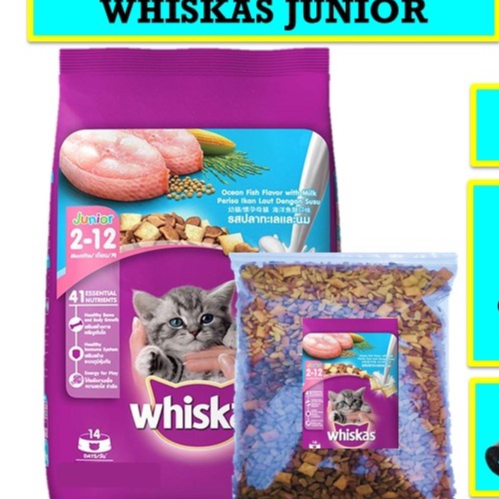 Jual Makanan Kucing WHISKAS JUNIOR RASA OCEAN FISH Kemasan 500gr