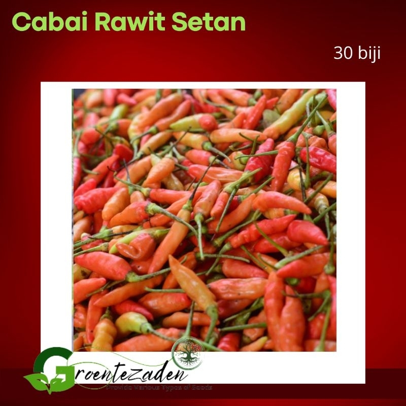 Jual Benih Bibit Biji Cabai Rawit Cabe Rawit Setan Super Pedas Unggul