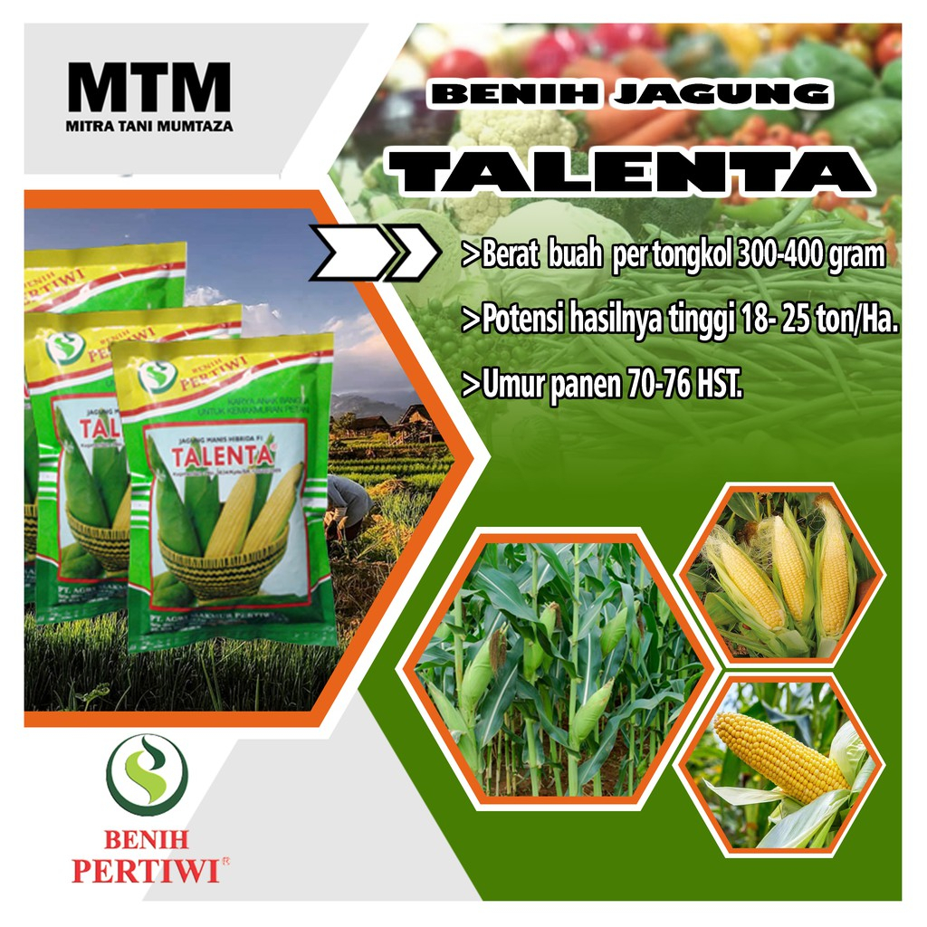 Jual BENIH JAGUNG MANIS TALENTA 250 GR ISI KURLEB 1 750 BIJI