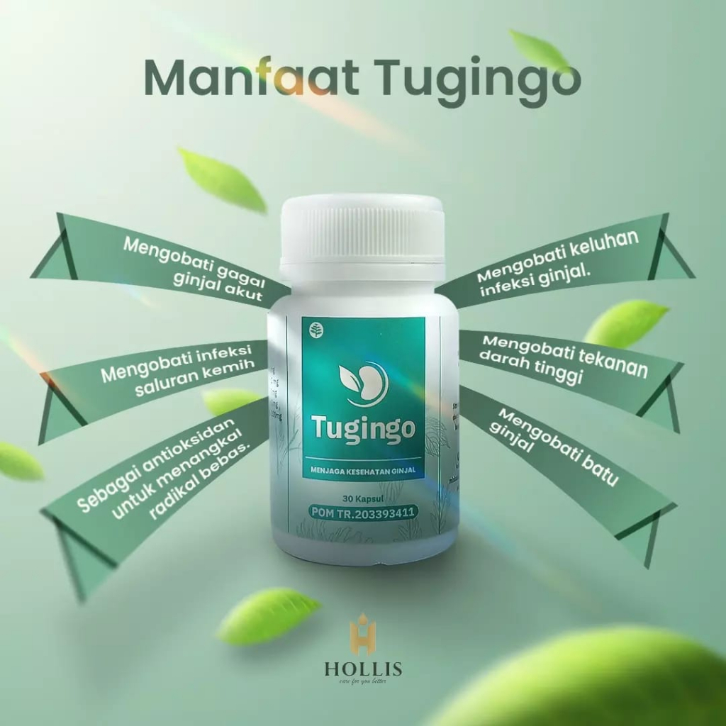 Jual Tugingo Obat Batu Ginjal Herbal Penyakit Ginjal Kronis Gagal