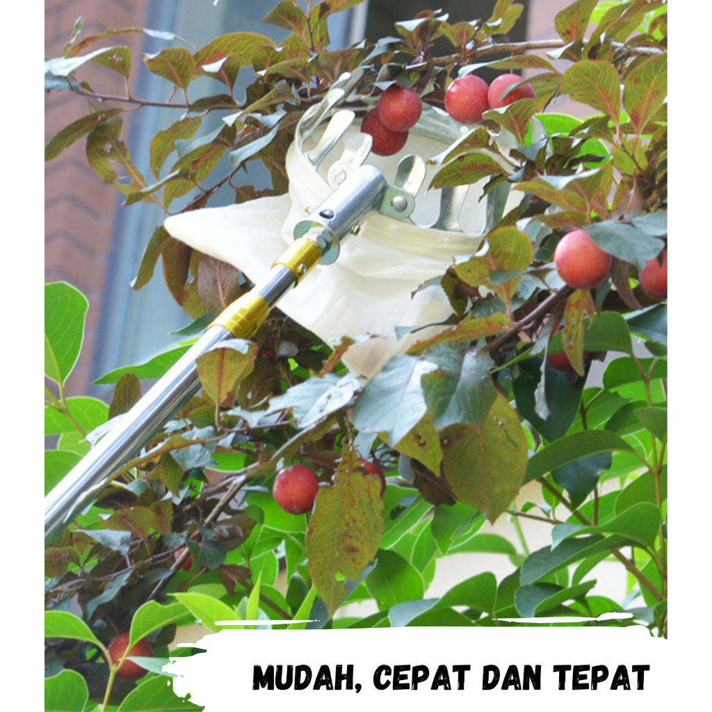 Jual Alat Pemetik Buah Metal Fruit Picker Alat Bantu Petik Pengambil