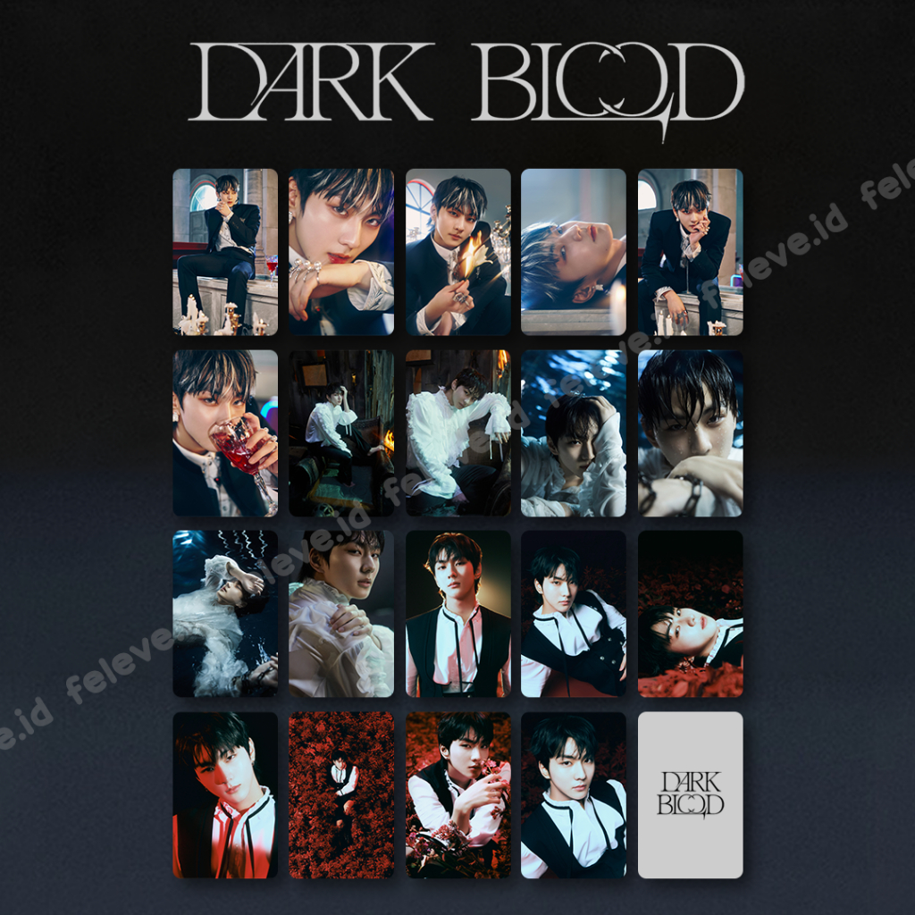 Jual Set Unofficial Pc Enhypen Dark Blood Full New Half Concept