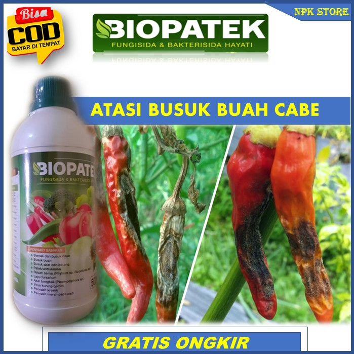 Jual Terbaru Biopatek Fungisida Bakterisida Hayati Pupuk Paling Ampuh