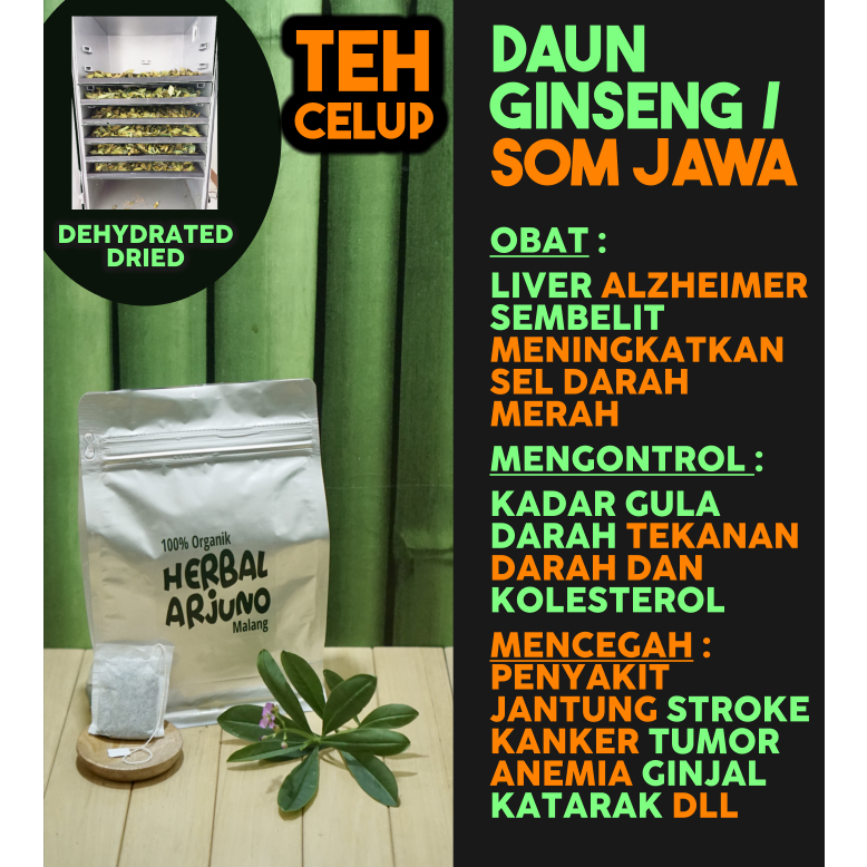 Jual Dehydrated Dried Teh Celup Daun Ginseng Kolesom Som Jawa Obat