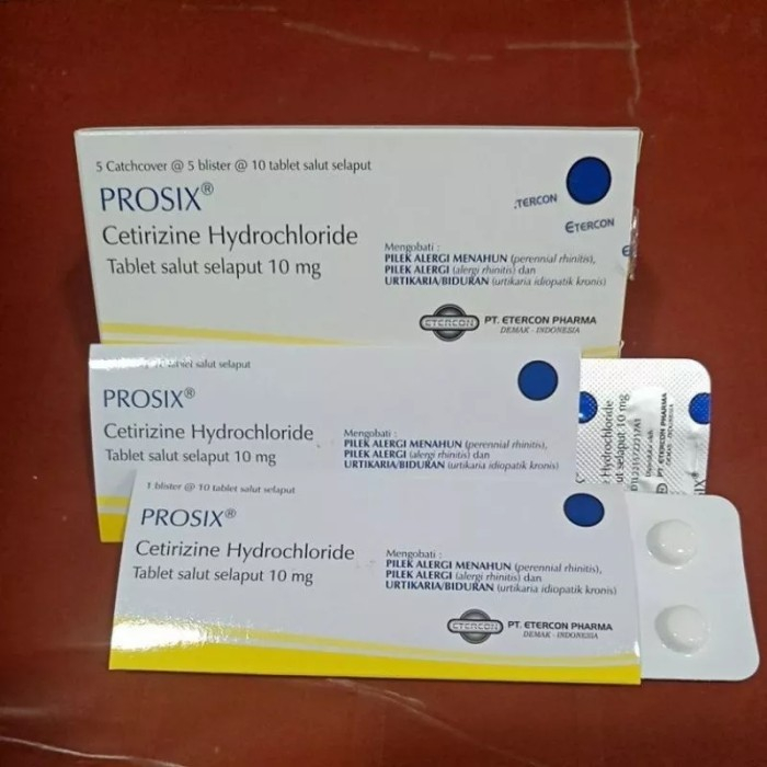 Jual Prosix Mg Strip Isi Tablet Obat Biduran Shopee Indonesia