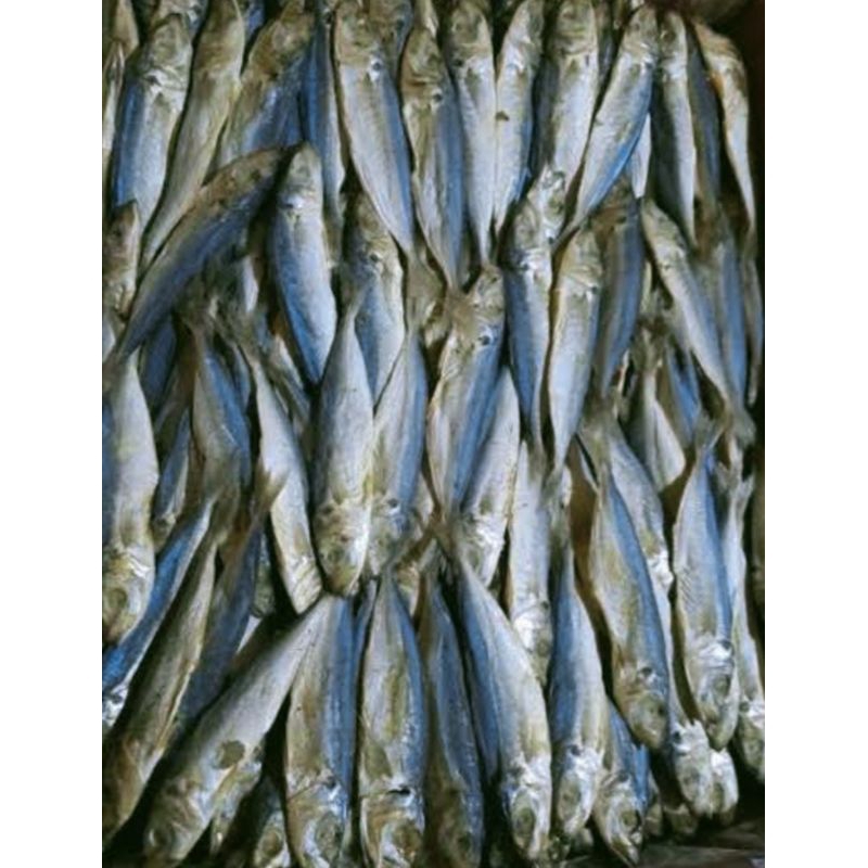 Jual Ikan Asin Klotok Layang Peda Super 1kg Shopee Indonesia