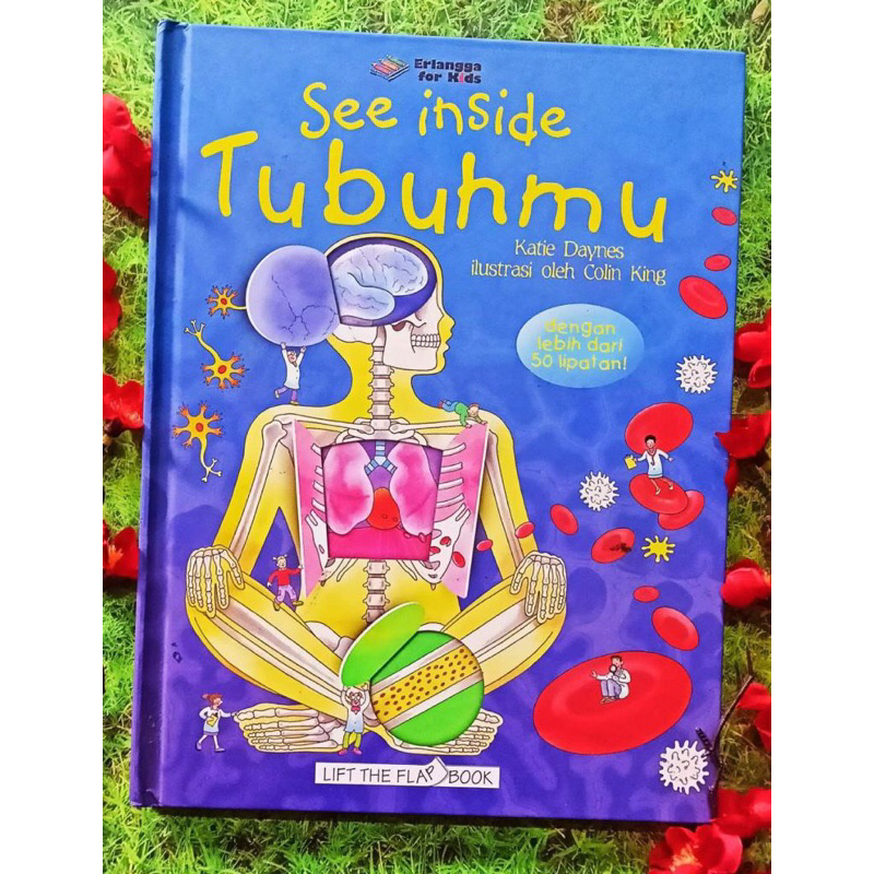 Jual See Inside Tubuhmu Buku Terjemahan Usborne See Inside Your Body