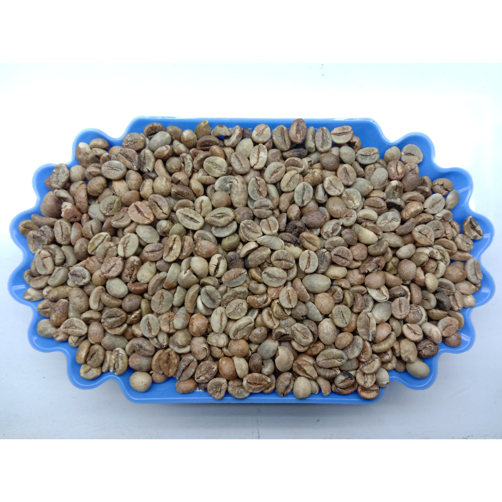 Jual ELB 400 GRADE 2 ROBUSTA GREEN BEAN BIJI KOPI MENTAH ROBUSTA