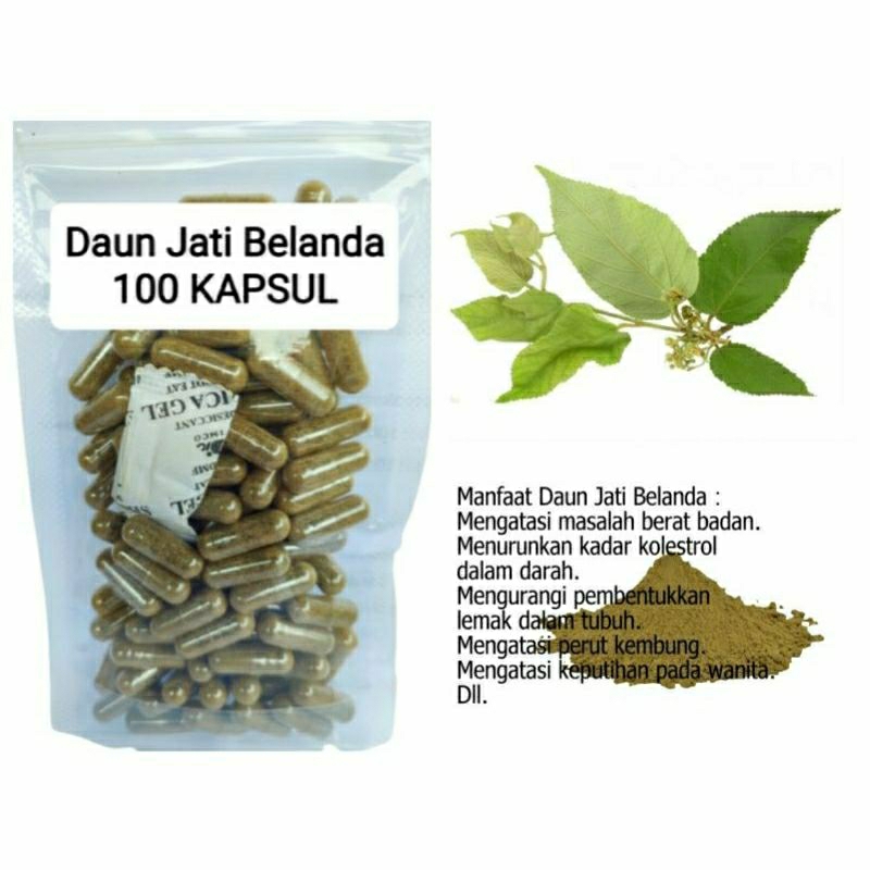 Jual DAUN JATI BELANDA 100 KAPSUL OBAT HERBAL TERBAIK TOPP SELLER JATIM