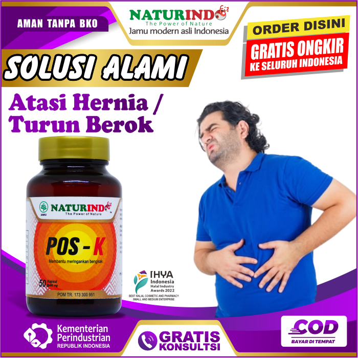 Jual Naturindo Obat Hernia Herbal Hernia Obat Turun Berok Dewasa Dan