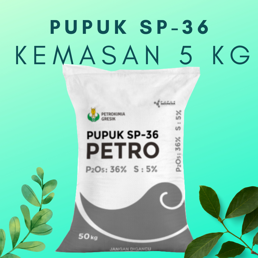 Jual Pupuk SP 36 PETRO Original Kemasan Repack 5 KG Murah Penambah