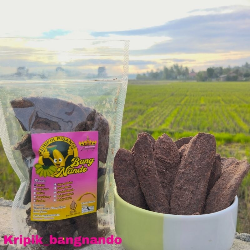 Jual Kripik Pisang Kepok Aneka Rasa Khas Lampung Kemasan Standing Pouch