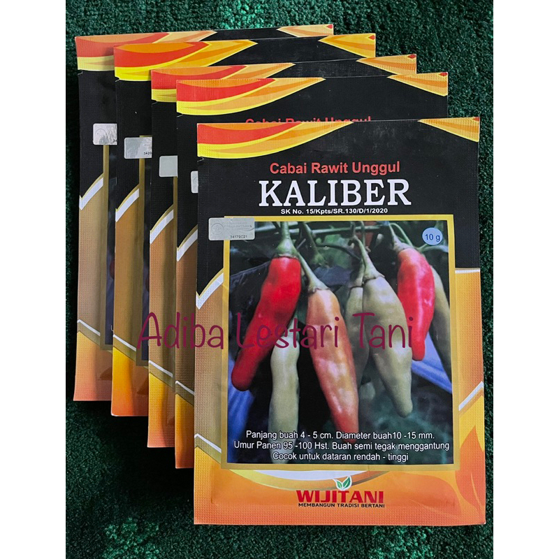 Jual Benih Unggul Cabe Rawit Kaliber Gram Wijitani Shopee Indonesia