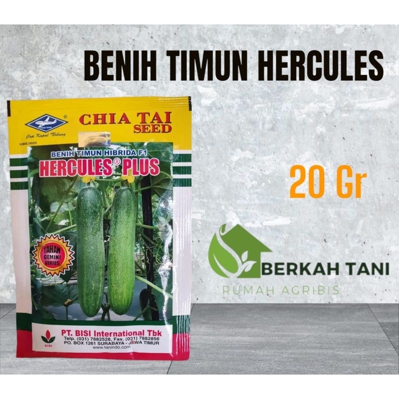 Jual Benih Timun Ketimun Mentimun Hibrida F1 HERCULES PLUS 20 Gram